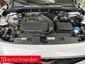CUPRA Formentor 1.5 TSI DSG PANO CAM CLIMATR. SHZ Weiß - thumbnail 24