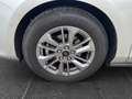 Ford Focus Turnier 1,5D Tita. Family-Paket3 AGR-Sitze Zilver - thumbnail 19