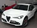 Alfa Romeo Stelvio 2.2 Turbodiesel 210 CV AT8 Q4 Executive Wit - thumbnail 1
