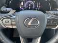 Lexus E-FOUR Executive Line *AHK*Leder*360Grad* Grau - thumbnail 11