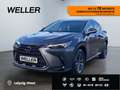 Lexus E-FOUR Executive Line *AHK*Leder*360Grad* Grau - thumbnail 1