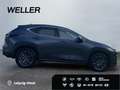 Lexus E-FOUR Executive Line *AHK*Leder*360Grad* Grau - thumbnail 8