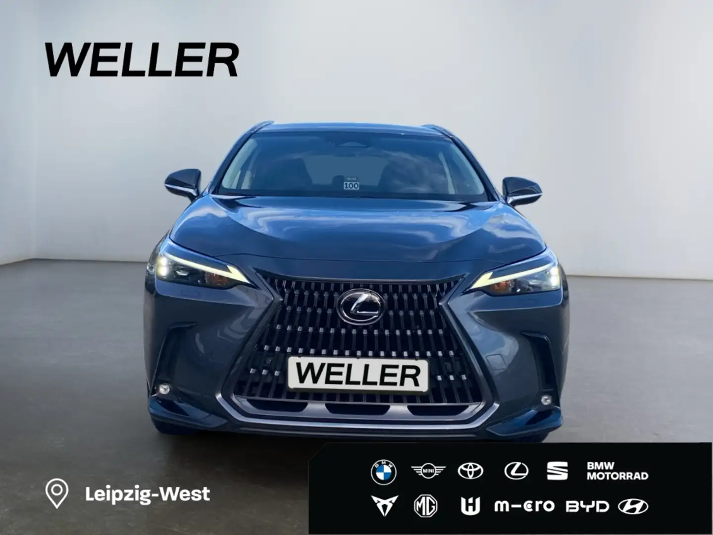 Lexus E-FOUR Executive Line *AHK*Leder*360Grad* Grau - 2