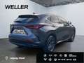 Lexus E-FOUR Executive Line *AHK*Leder*360Grad* Grau - thumbnail 16