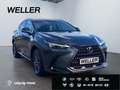 Lexus E-FOUR Executive Line *AHK*Leder*360Grad* Grau - thumbnail 3