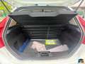 Ford Fiesta 1.4 TDCi 70CV 5 porte Titanium Biały - thumbnail 16