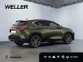 Lexus NX 350h Luxury Line *HUD*360*Navi*LED*Memory* Verde - thumbnail 12