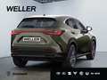 Lexus NX 350h Luxury Line *HUD*360*Navi*LED*Memory* Verde - thumbnail 10