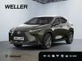 Lexus NX 350h Luxury Line *HUD*360*Navi*LED*Memory* Verde - thumbnail 1