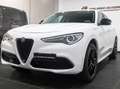Alfa Romeo Stelvio Stelvio 2.0 t First Edition Q4 280cv auto Blanc - thumbnail 3