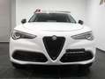 Alfa Romeo Stelvio Stelvio 2.0 t First Edition Q4 280cv auto Blanc - thumbnail 2