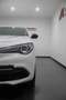 Alfa Romeo Stelvio Stelvio 2.0 t First Edition Q4 280cv auto Blanc - thumbnail 7