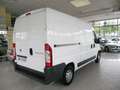 Fiat Ducato FOURGON TOLE 3.3 M H2 2.3 MULTIJET PACK CD CLIM Weiß - thumbnail 2