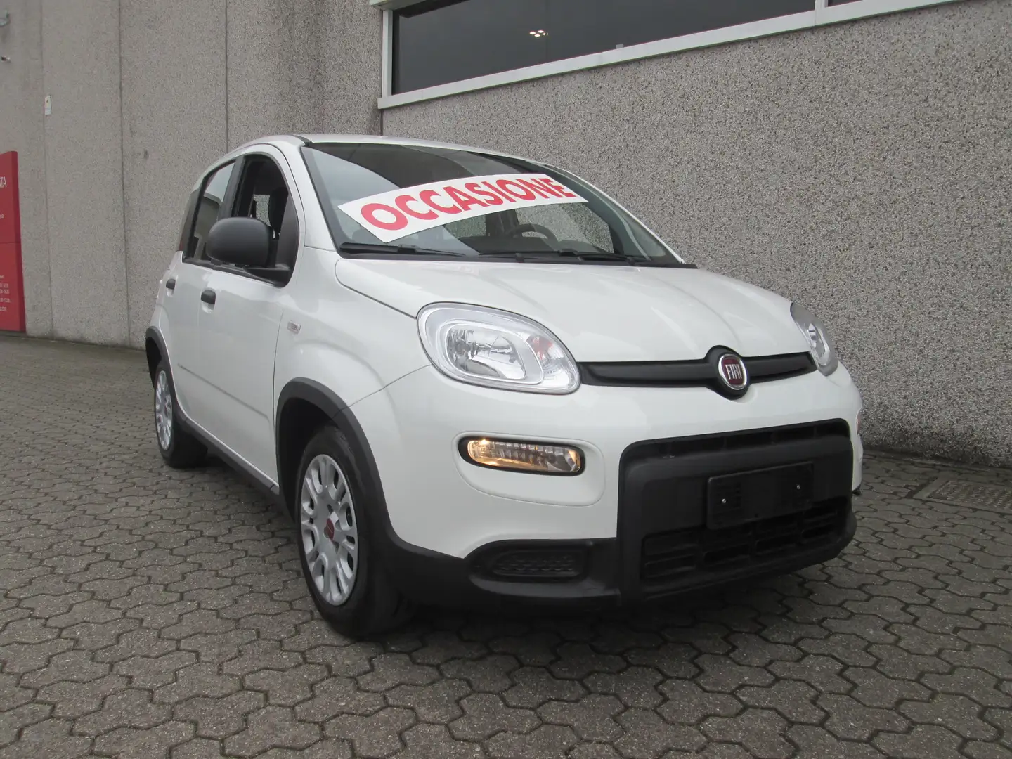 Fiat Panda 1.0 firefly hybrid S&S NO VINCOLI FINANZIAMENTO Bianco - 1