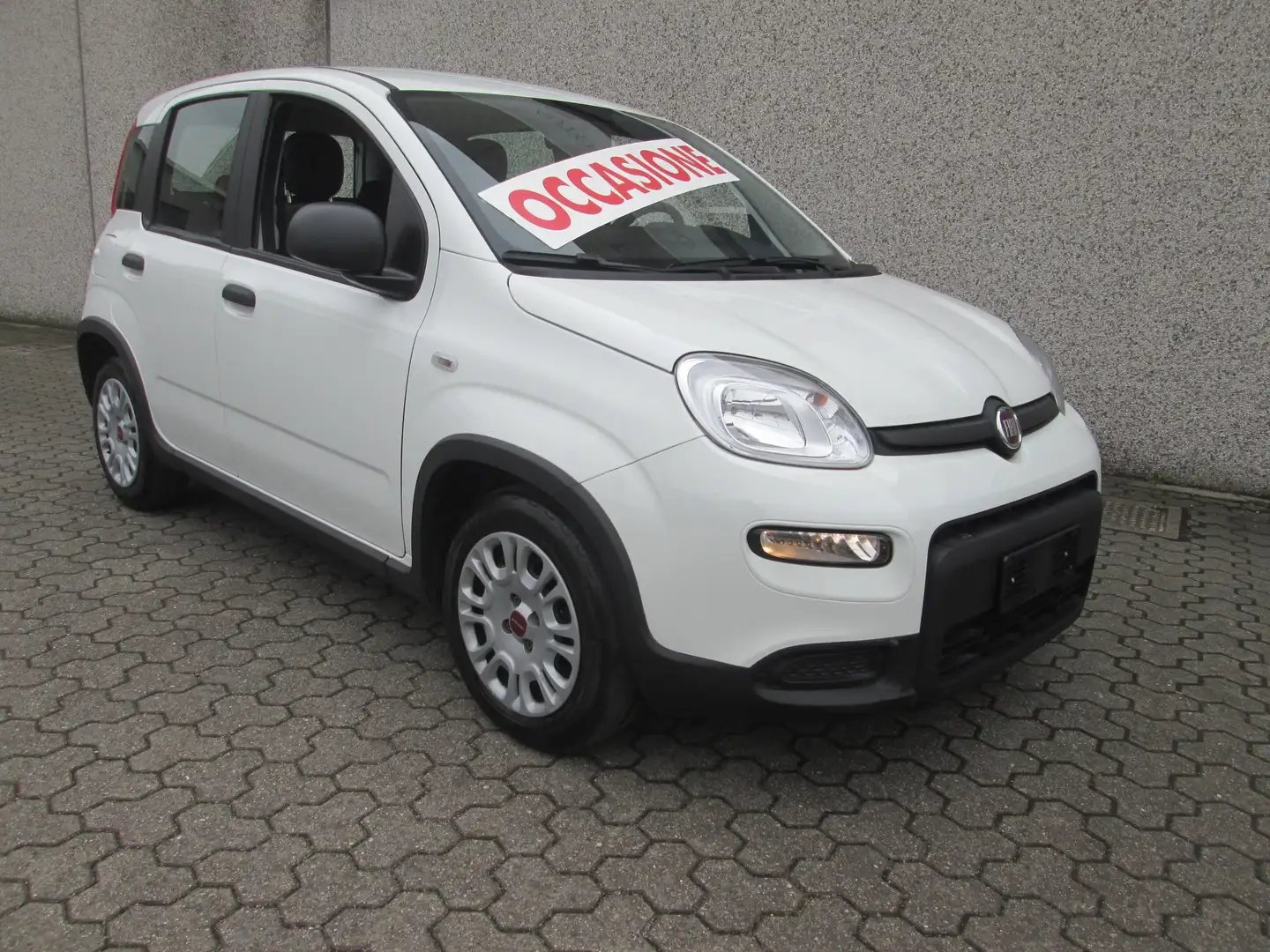 Fiat Panda 1.0 firefly hybrid S&S NO VINCOLI FINANZIAMENTO Bianco - 2