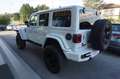 Militem Ferox 3.6 V6 AT8 MHEV RUBICON UNLIMITED Wit - thumbnail 7
