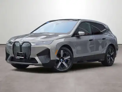 Gray 2023 BMW iX SUV / Crossover All-Wheel Drive 1-Speed Automatic