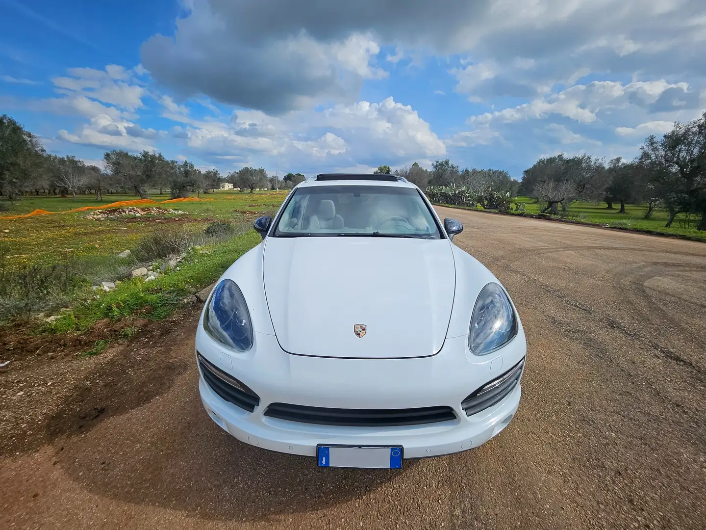 Porsche Cayenne Platinum Edition in Garanzia Bianco - 1