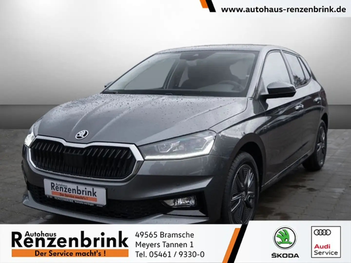 Skoda Fabia 1.0 TSI Tour DSG NAVI*LED*ACC Grau - 1
