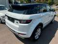 Land Rover Range Rover Evoque BII XENON LEDER NAVI Weiß - thumbnail 7