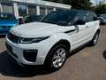 Land Rover Range Rover Evoque BII XENON LEDER NAVI Weiß - thumbnail 1