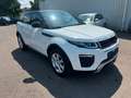 Land Rover Range Rover Evoque BII XENON LEDER NAVI Weiß - thumbnail 3