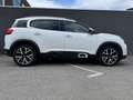 Citroen C5 Aircross C5 Aircross 130 Shine Leder/Massage/Pano/ACC Blanc - thumbnail 6