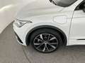 Volkswagen Tiguan R-Line eHybrid DSG Weiß - thumbnail 10