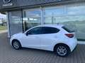 Mazda 2 2 SKYACTIV-G 75 Exclusive-Line-EXCLUSIVE TOU-P Weiß - thumbnail 3