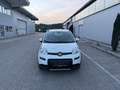 Fiat Panda 4x4 0.9 TwinAir Turbo 85 Weiß - thumbnail 1
