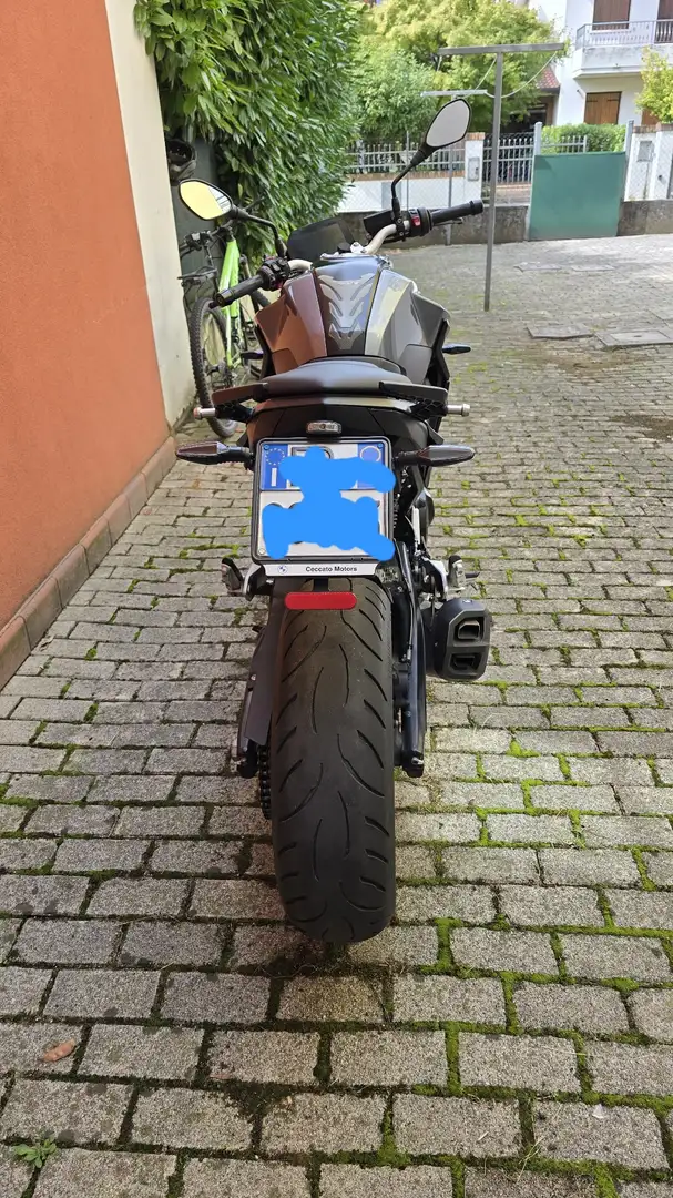 BMW F 900 R Grey - 2