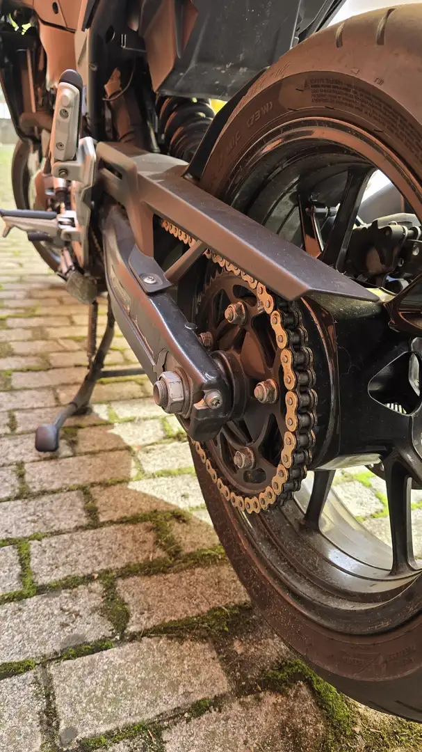 BMW F 900 R Grey - 1