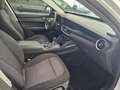 Alfa Romeo Stelvio Stelvio 2.2 t Business rwd 160cv auto my19 Bianco - thumbnail 12