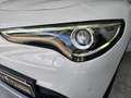 Alfa Romeo Stelvio Stelvio 2.2 t Business rwd 160cv auto my19 Bianco - thumbnail 9