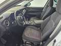 Alfa Romeo Stelvio Stelvio 2.2 t Business rwd 160cv auto my19 Bianco - thumbnail 6