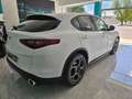 Alfa Romeo Stelvio Stelvio 2.2 t Business rwd 160cv auto my19 Bianco - thumbnail 3