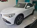 Alfa Romeo Stelvio Stelvio 2.2 t Business rwd 160cv auto my19 Bianco - thumbnail 1