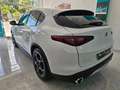 Alfa Romeo Stelvio Stelvio 2.2 t Business rwd 160cv auto my19 Bianco - thumbnail 11