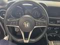 Alfa Romeo Stelvio Stelvio 2.2 t Business rwd 160cv auto my19 Blanc - thumbnail 26