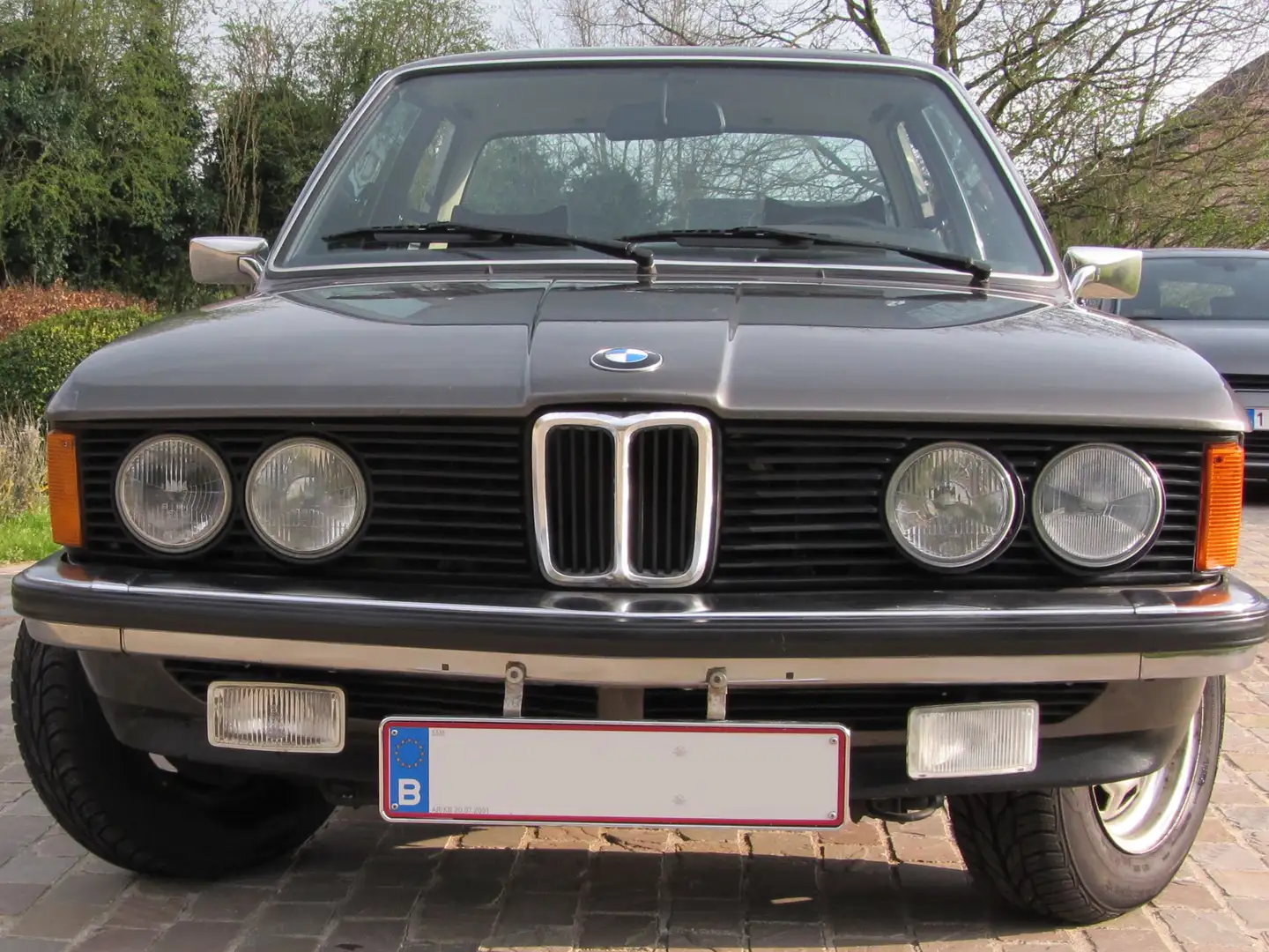 BMW 320 E21 Gris - 2