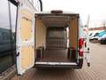 Fiat Ducato Maxi 35 L4H2 180 AT8 / Holzboden + LED Weiß - thumbnail 5