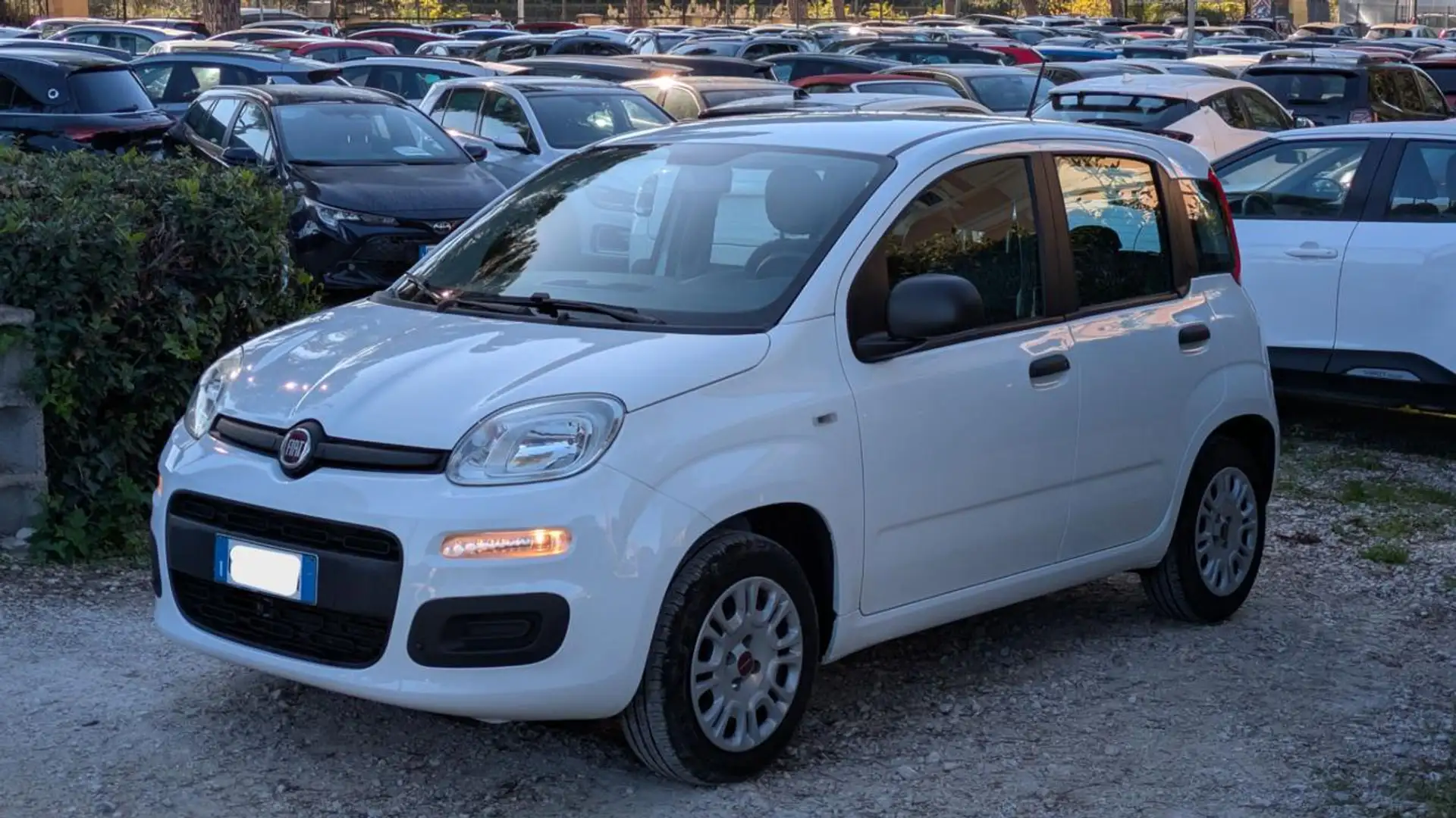 Fiat Panda 1.2cc 70cv 5 PORTE Weiß - 2