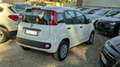 Fiat Panda 1.2cc 70cv 5 PORTE Blanc - thumbnail 4