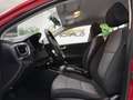 Kia Stonic 1.0 T-GDi MHEV Concept 100 Rojo - thumbnail 16