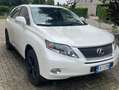 Lexus RX 450h 3.5 Ambassador cvt Bianco - thumbnail 2