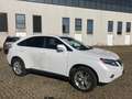 Lexus RX 450h 3.5 Ambassador cvt Bianco - thumbnail 7