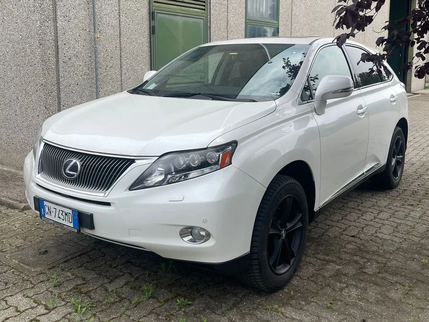 Lexus RX 450h 3.5 Ambassador cvt Bianco - 1