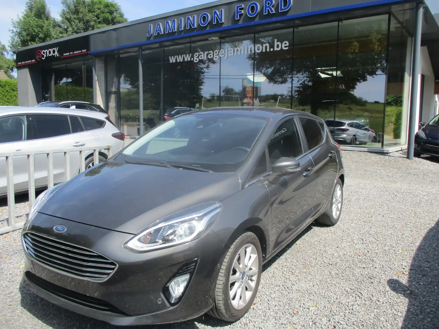 Ford Fiesta 1.0 EcoBoost Titanium camera ,pdc av et arrière Gris - 1