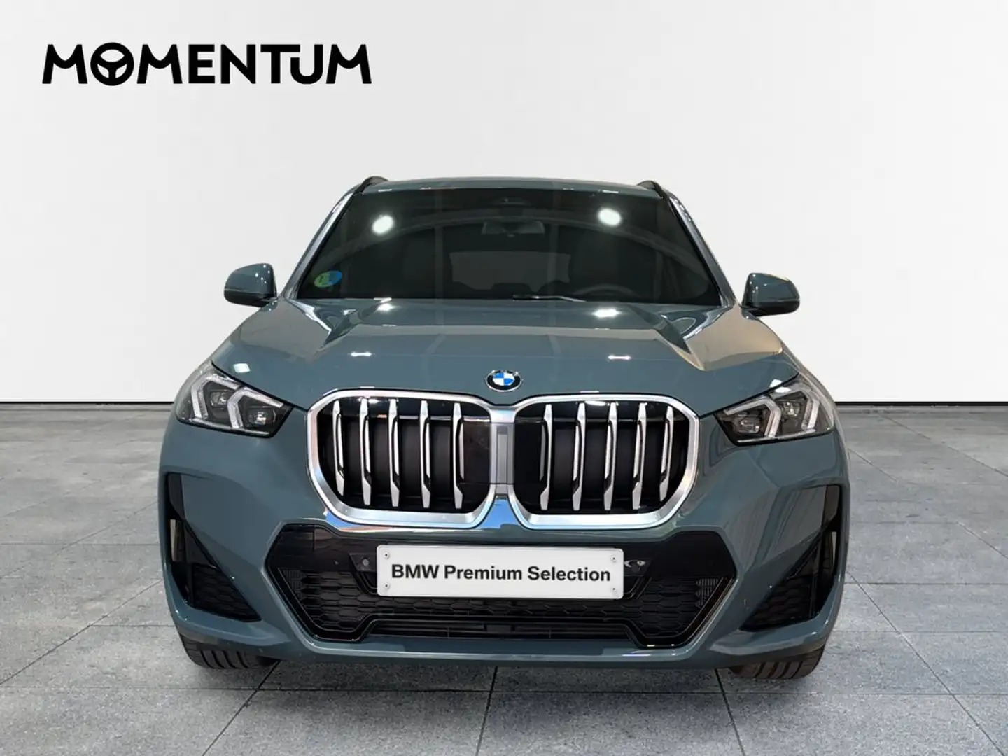 BMW X1 sDrive 20dA Verde - 2