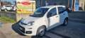 Fiat Panda 1.2 Easy 69cv E6  autocaro Weiß - thumbnail 2